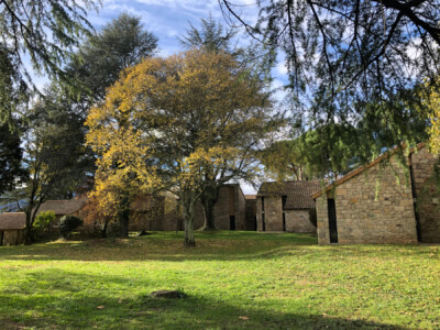 Domaine des Vans